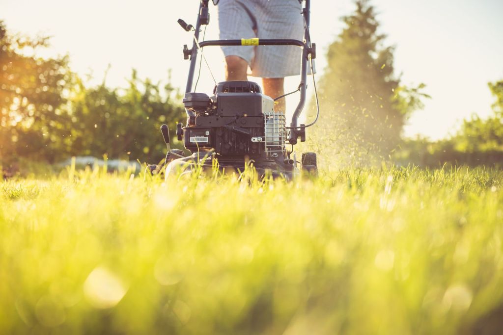 Person pushing a lawn mower across a sunlit lawn